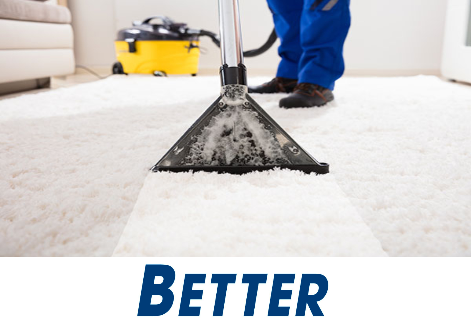 Carpet and Upholstery Cleaning Easy to Learn Better Business Sales